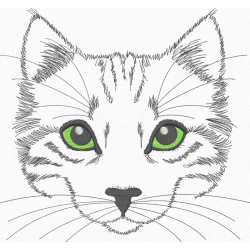 Kitten with hypnotic green...