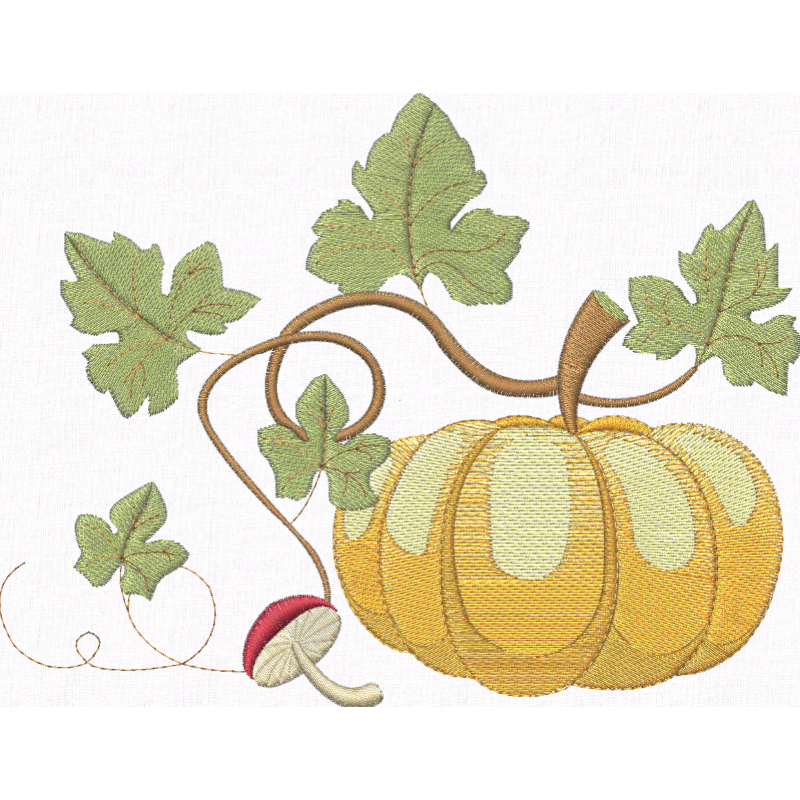 Autumn Pumpkin