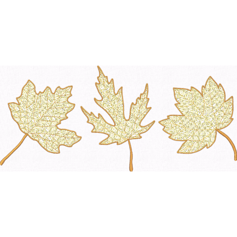 Exquisite Maple Leaves