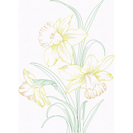 Daffodils Bouquet