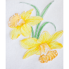 Daffodils